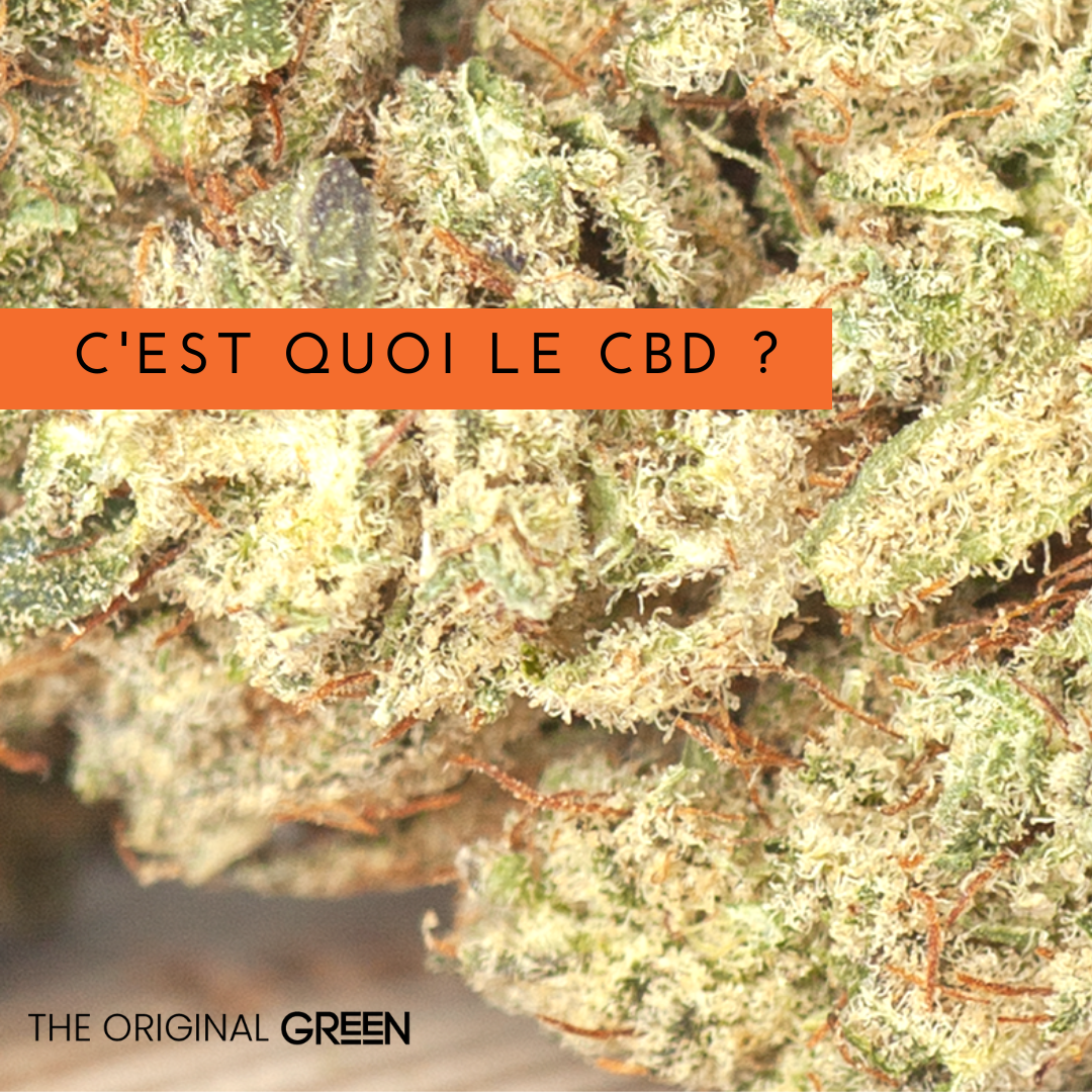 C'est quoi le cbd