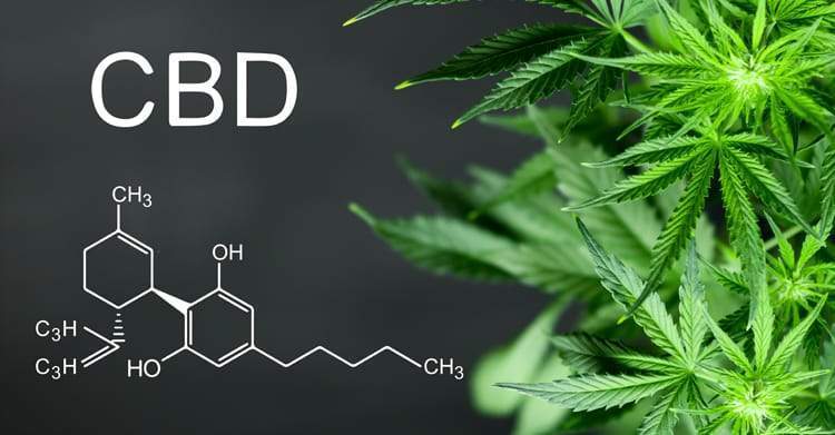 CANNABIDIOL : QU'EST CE QUE LE CBD ?